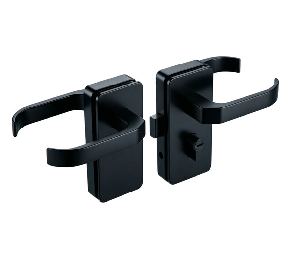 Glass to glass door to lock